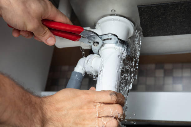 Best Professional water damage repair  in Nanticoke, PA