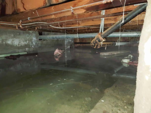 Best 24-hour water damage restoration  in Nanticoke, PA