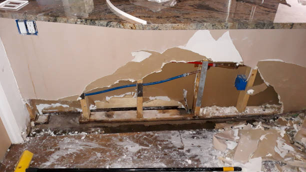 Best Sewage cleanup and water damage restoration  in Nanticoke, PA