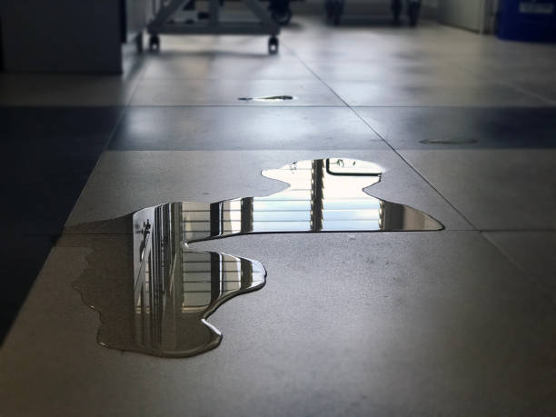 Professional Water damage restoration in Nanticoke, PA