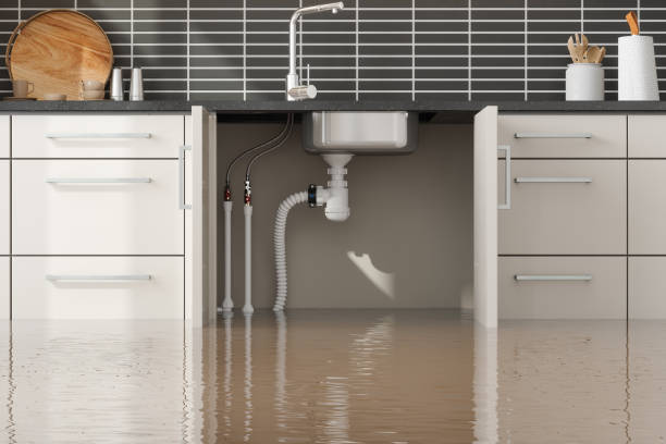Best Flood restoration services  in Nanticoke, PA
